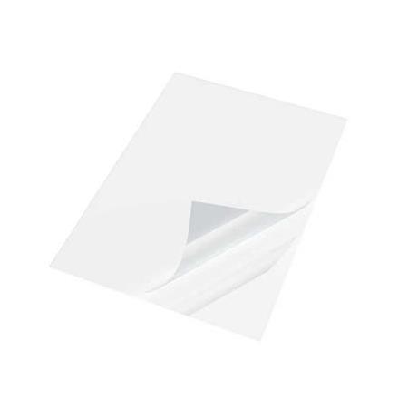 Elegoo Jupiter SE FEP Film